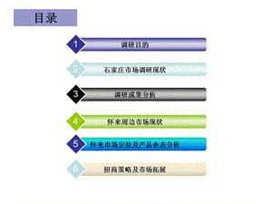 河北省石家庄市场调研报告（118页） .ppt