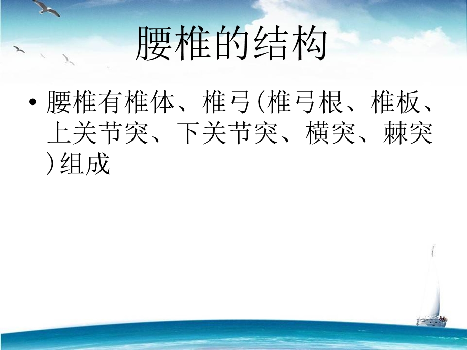 腰椎骨折护理讲课.ppt_第3页