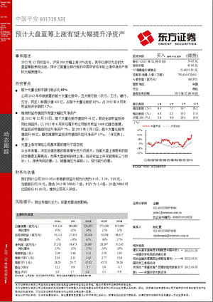 中国平安(601318)预计大盘蓝筹上涨有望大幅提升净资产130206.ppt