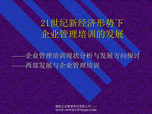 21世纪新经济形势下企业管理培训的发展.ppt