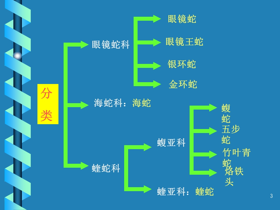 医院毒蛇伤救治.ppt_第3页