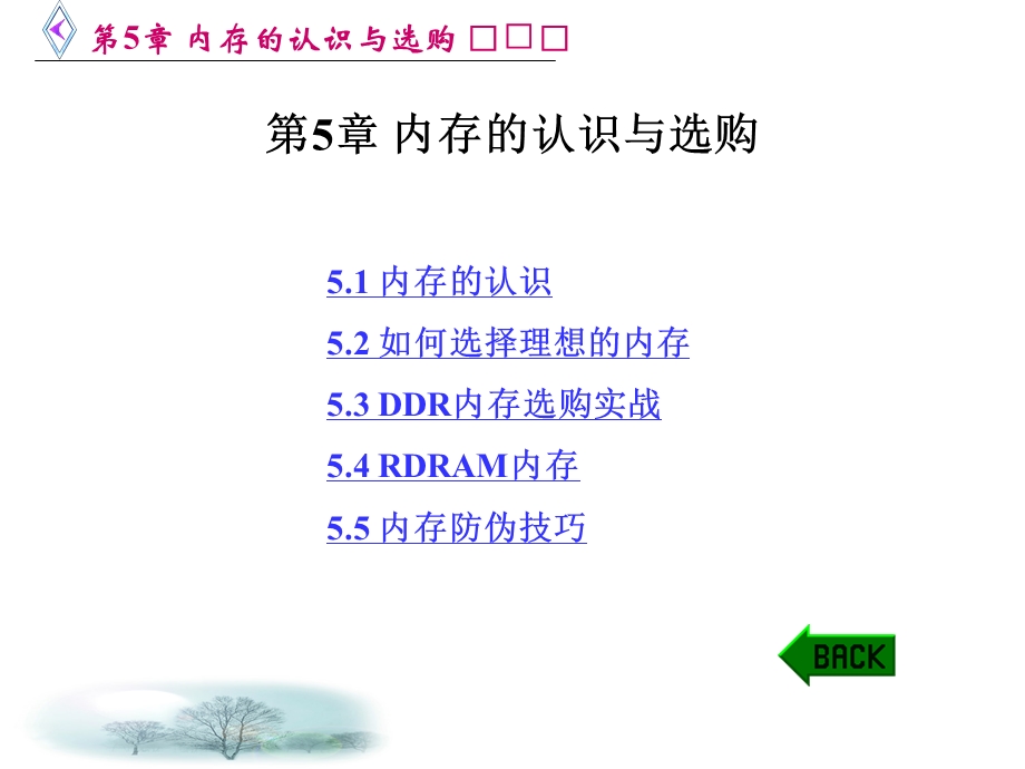 内存的认识与选购.ppt_第2页