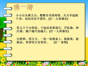 浙教版小学品德与社会三级下册《我们的地球》课件.ppt