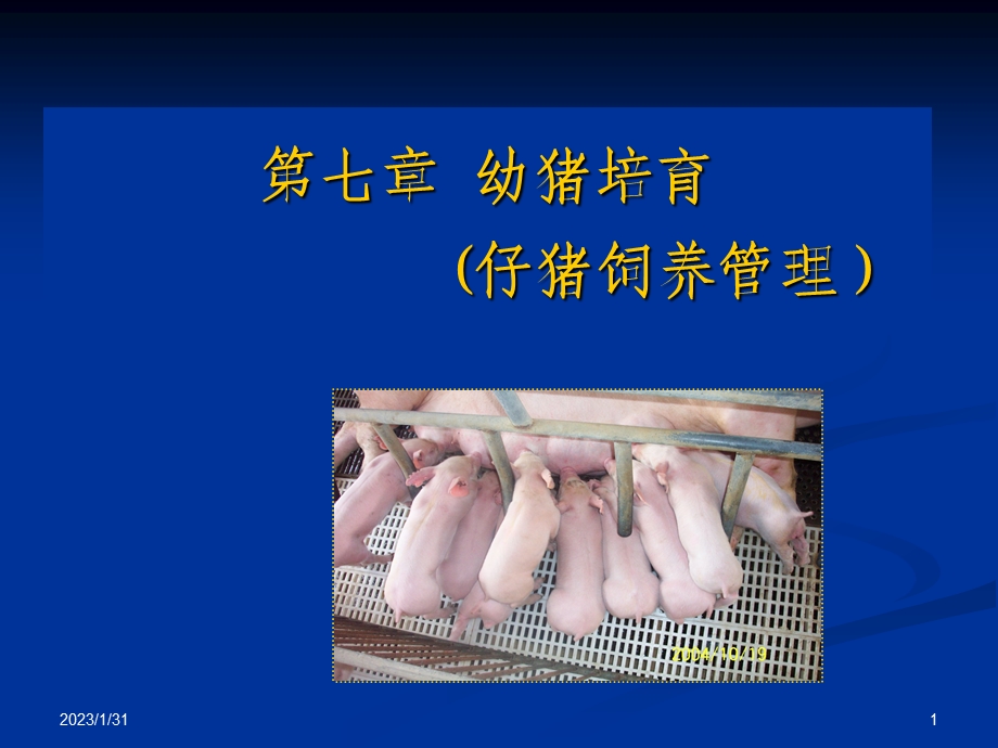 仔猪饲养管理1.ppt_第1页