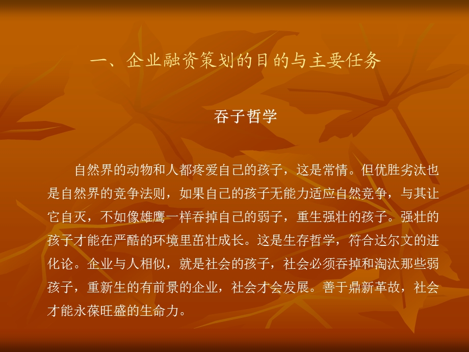 企业融资策划.ppt_第2页