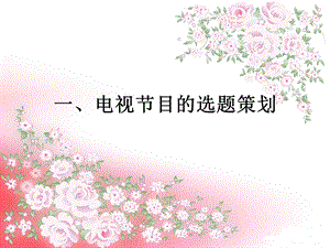 电视节目的选题策划.ppt