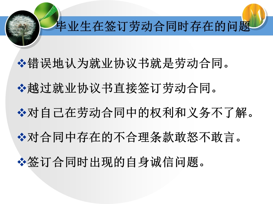 1595010301毕业生如何签定劳动合同(刘澜).ppt_第3页