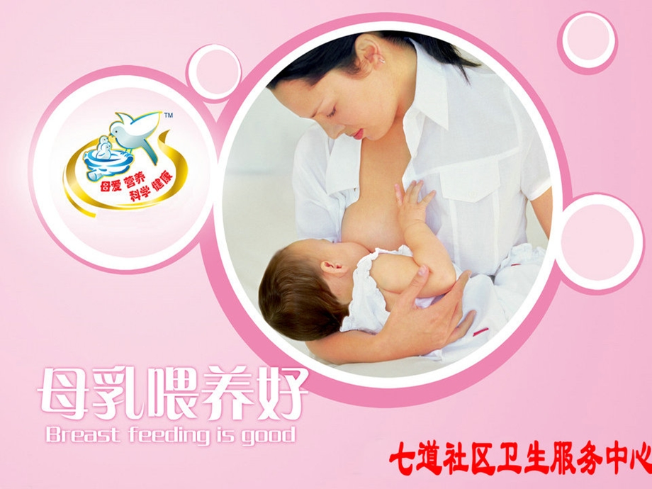 世界母乳喂养周宣传.ppt_第2页