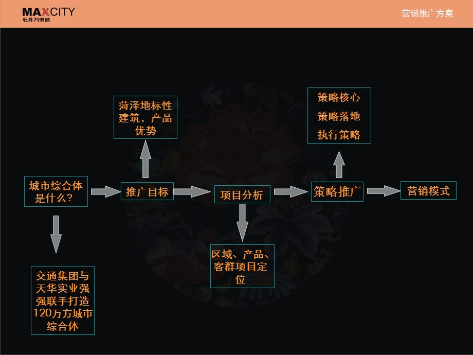 山东牡丹万象城下半营销推广ppt 53页ppt.ppt_第2页