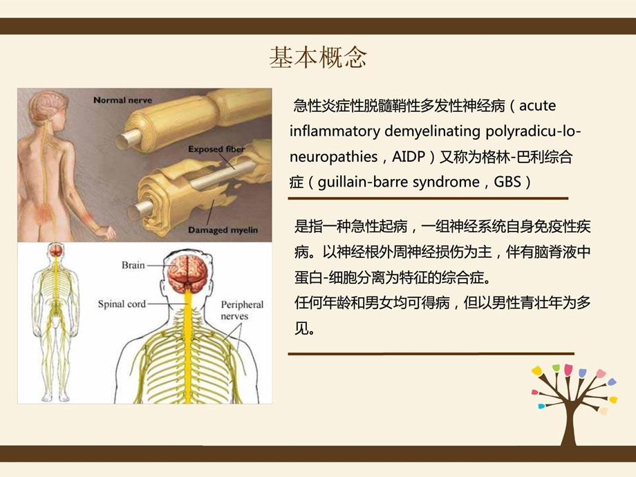 [精品]格林巴利综合症的护理查房——神经内科医学一区1554817306.ppt_第3页