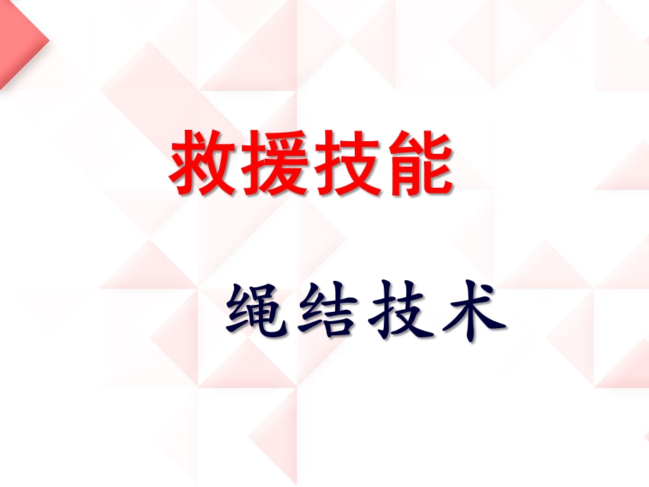 救援技能绳结技术.ppt_第1页