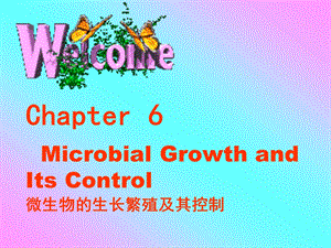 微生物的生长及其控制.ppt