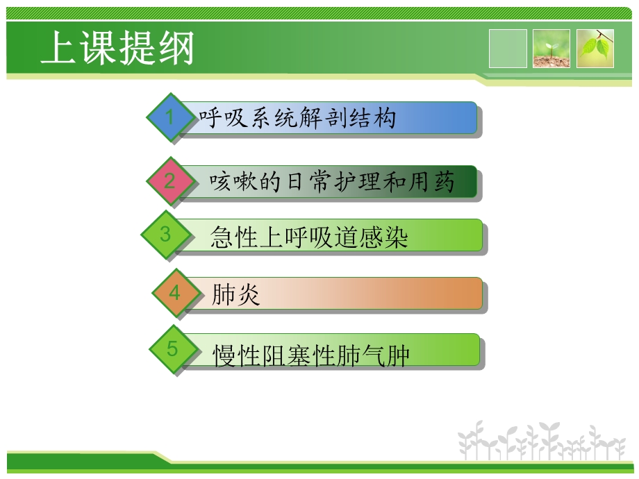 呼吸系统常见疾病防病生活常识.ppt_第2页