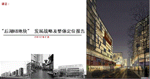 后湖K6地块发展战略及整体定位报告 90P.ppt