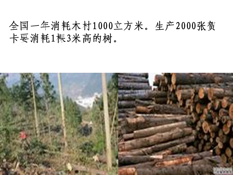 现在世界上主要造纸国家几乎全部用木材纤维造纸.ppt_第3页