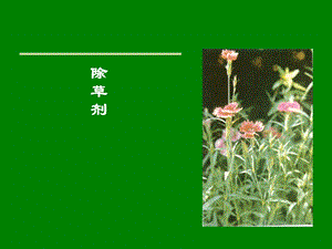 [农林牧渔]农药学除草剂部分.ppt