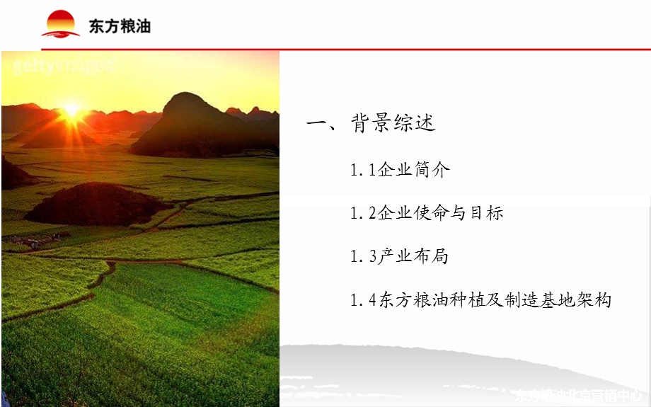 东方粮油公司简介和市场营销策略.ppt_第3页