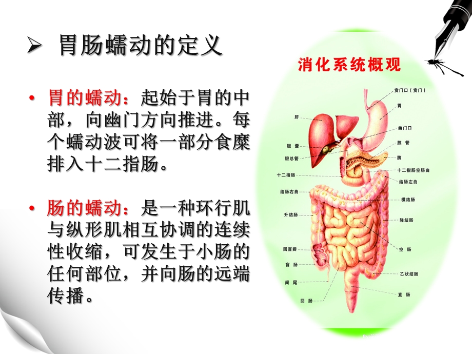 健康教育术后如何促进肠蠕动.ppt_第3页