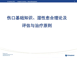 伤口基础知识、湿性愈合理论及伤口的评估与治疗.ppt
