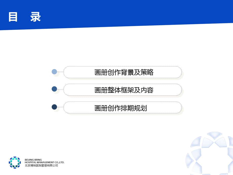 某大型医疗企业画册策划及平面拍摄方案110423.ppt_第2页