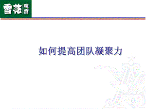 酒店培训如何提高团队凝聚力什么是团队.ppt