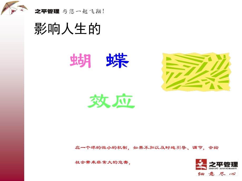 5S管理专题培训讲座PPT.ppt_第2页