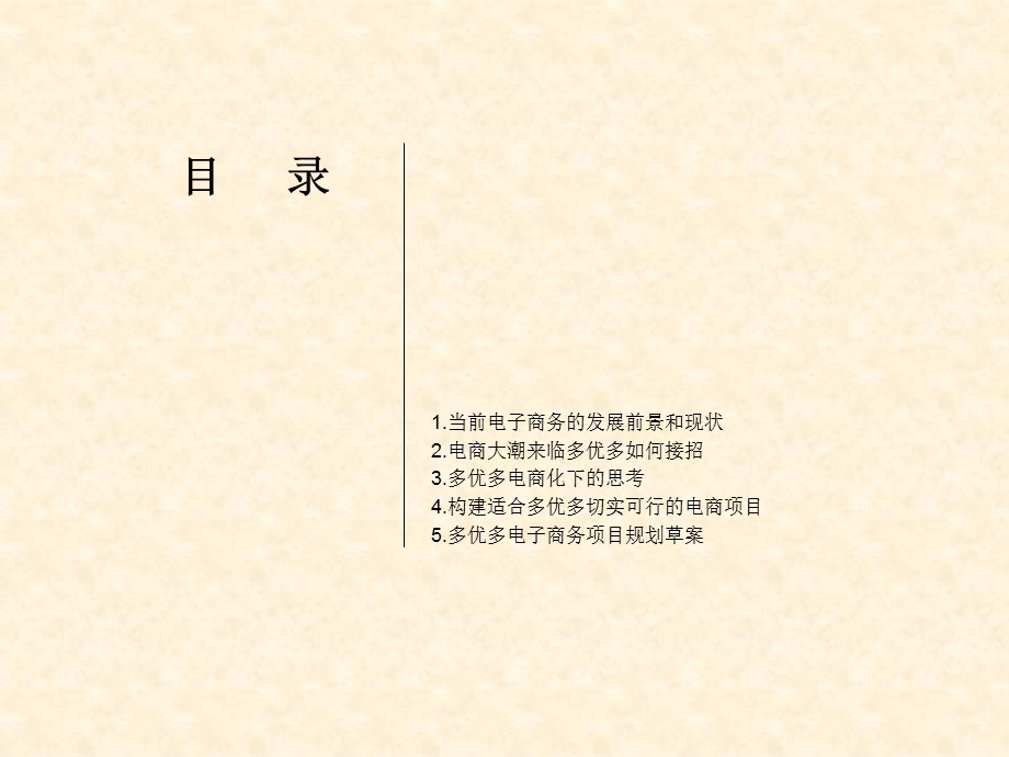 电商项目运营规划.ppt_第2页