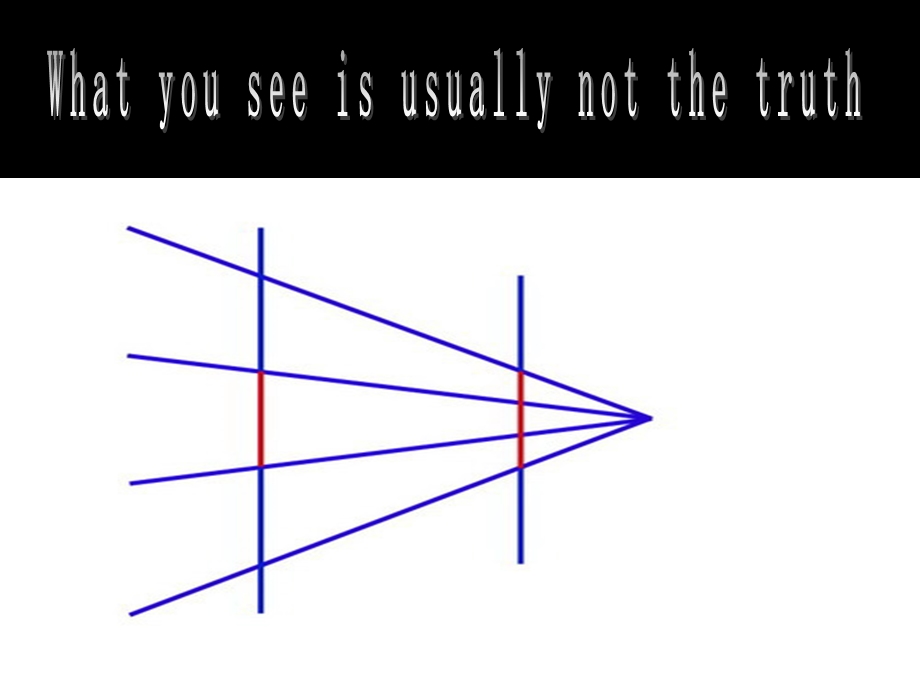 视觉错觉(英文版).ppt_第2页