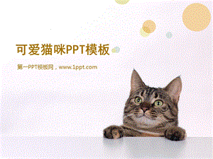 可爱猫咪PPT模板.ppt