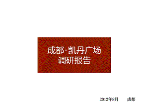 7748373408月成都·凯丹广场项目调研报告.ppt