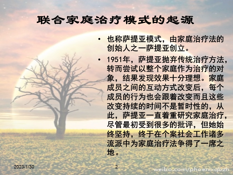 个案工作——萨提亚家庭治疗模式图文.ppt_第2页