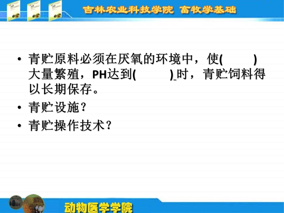 能量饲料.ppt_第1页