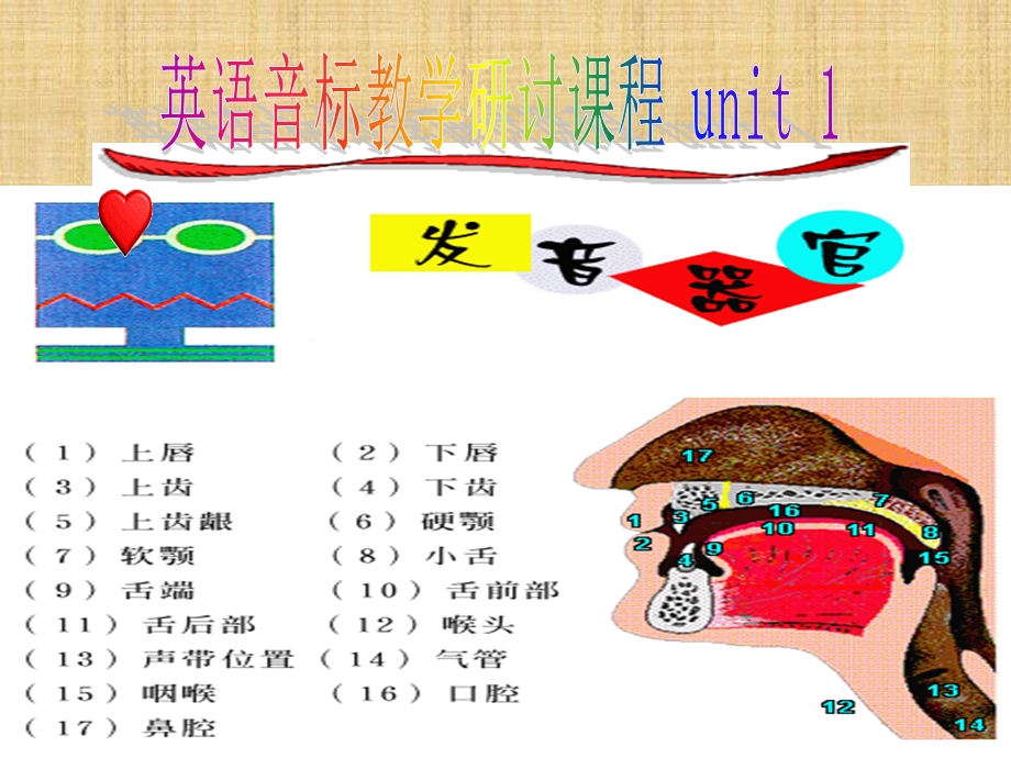 初中英语大串讲.ppt_第3页