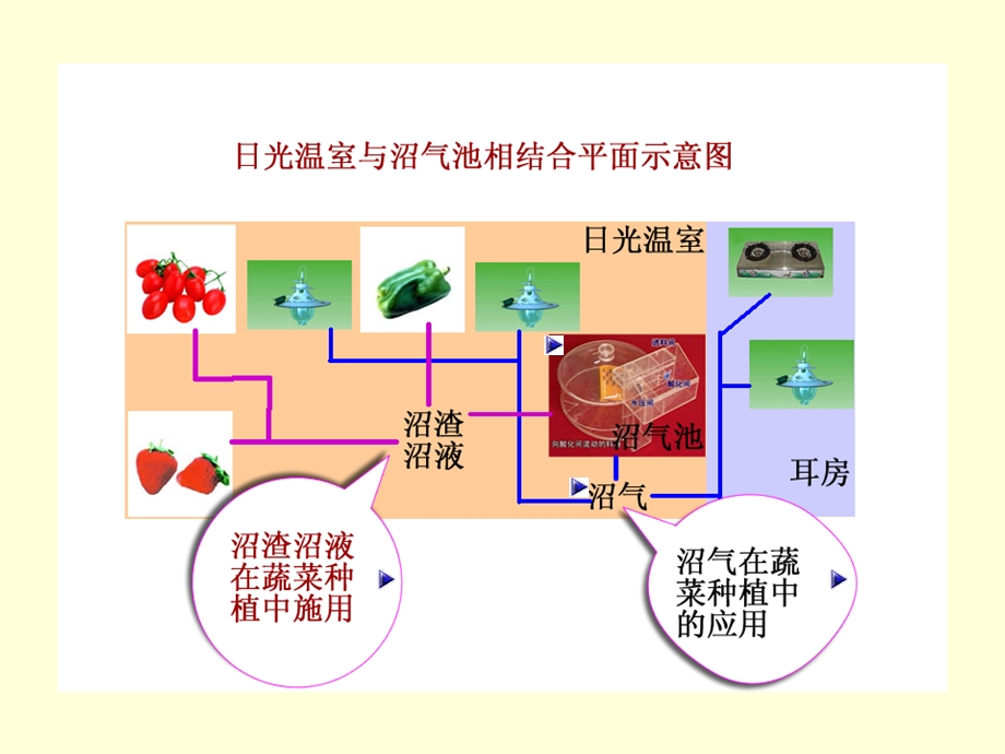 农村沼气与设施农业.ppt_第3页