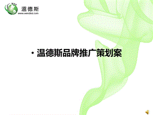 温德斯品牌推广策划案.ppt