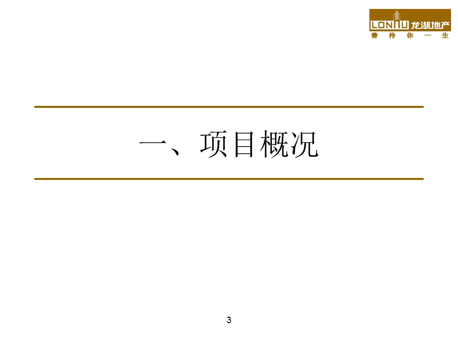 龙湖集团XX项目投资建议书指导（30页） .ppt_第3页