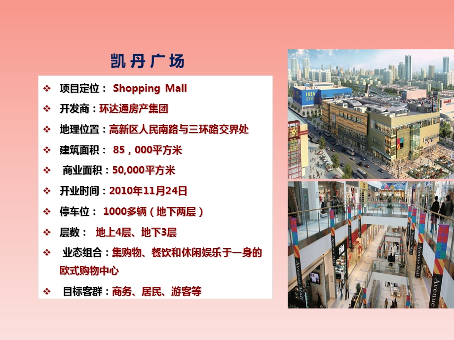 成都凯丹广场市场调研报告.ppt_第2页