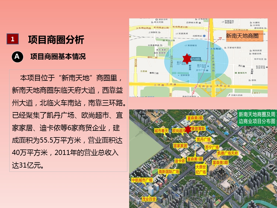 成都凯丹广场市场调研报告.ppt_第3页