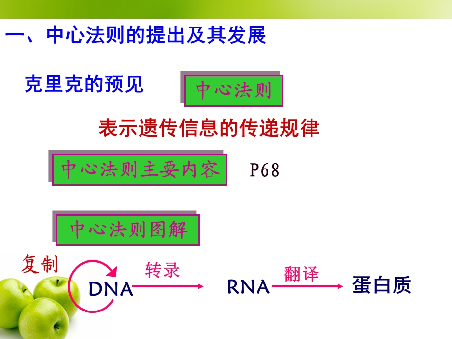 人教版高中生物课件：基因对性状的控制.ppt_第3页