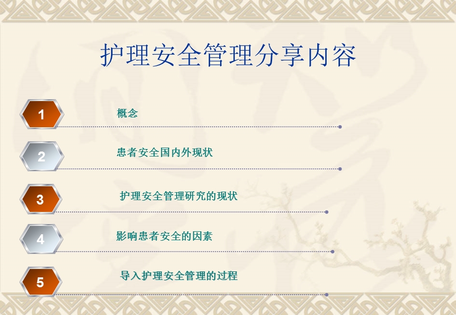 护理安全管理.ppt_第2页