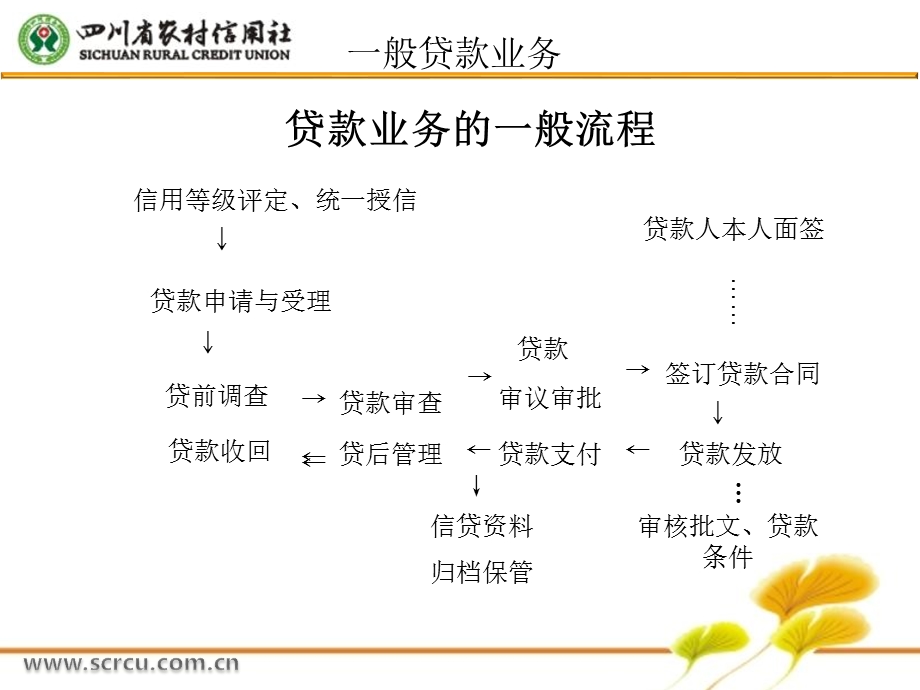 案防培训(贷款).ppt_第3页