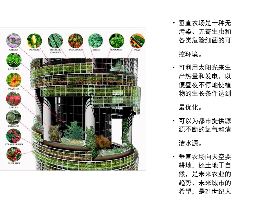 某小镇建筑规划设计方案(.ppt_第3页