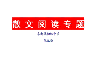 散文阅读专题.ppt.ppt