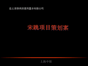 中原连云港800亩造城项目策划案1740143596.ppt