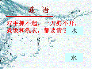 青岛版小学科学四级上册《水里有什么》课件.ppt