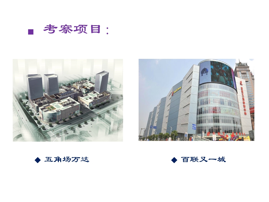 上海商业考察市调报告.ppt_第2页