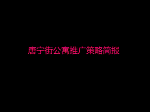 唐宁街公寓推广策略简报 25p.ppt