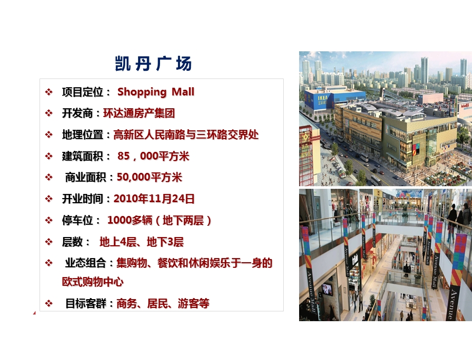 8月成都·凯丹广场项目调研报告.ppt_第2页