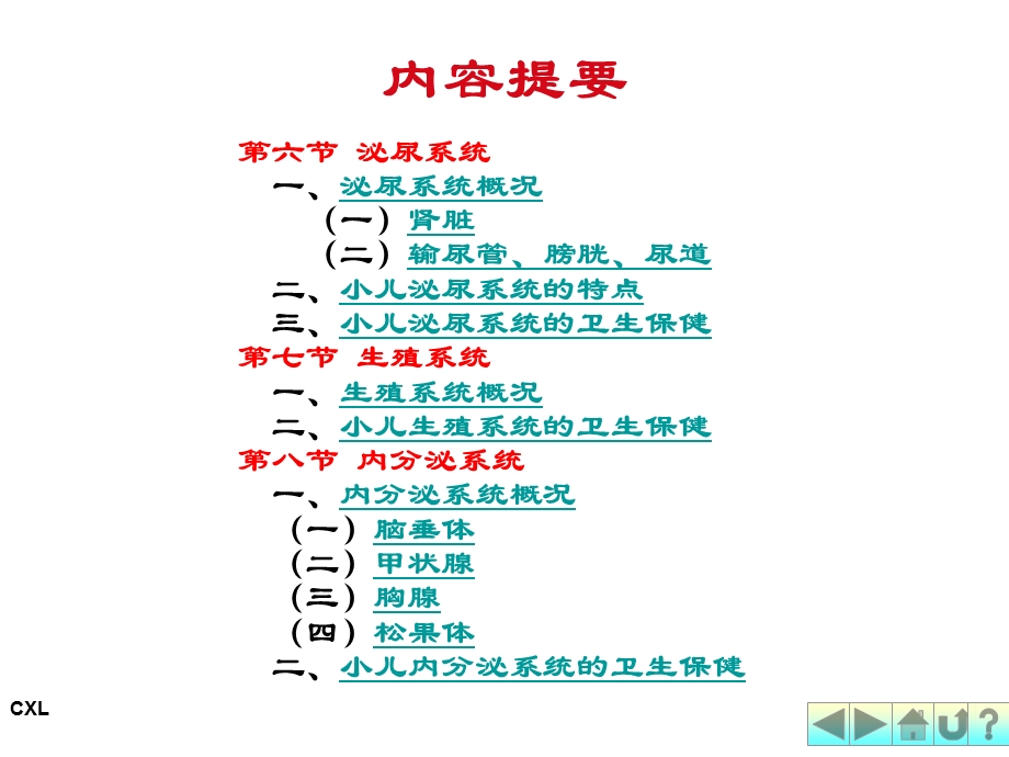 幼儿卫生学之泌尿、生殖、内分泌系统.ppt.ppt_第2页