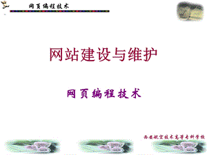 网页编程网站建设与维护.ppt